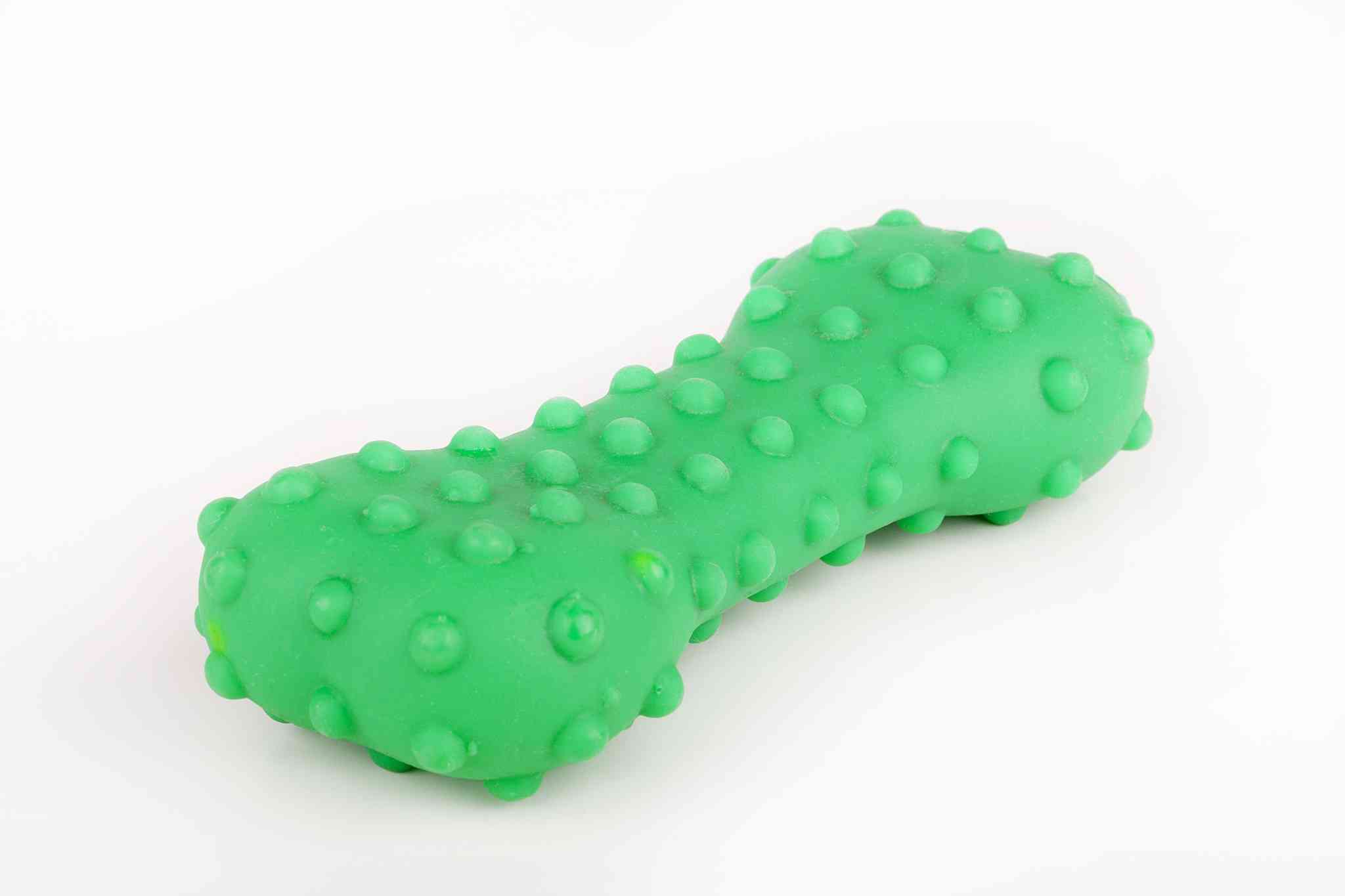 Green Rubber Bone
